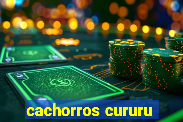 cachorros cururu